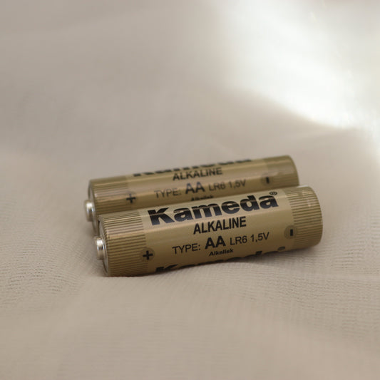 Batterijen – AA (2 stuks)