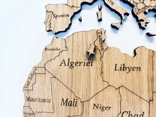 Houten punaises voor wereldkaart - 10 stuks.