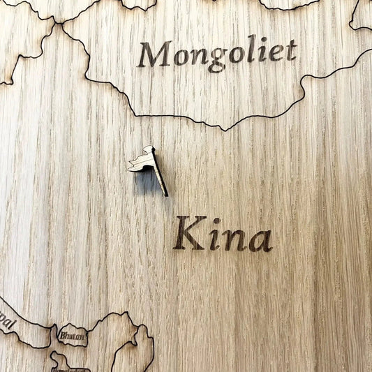 Diverse houten punaises voor wereldkaart - 15 stuks.